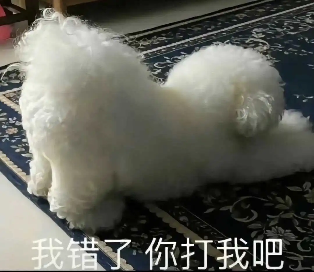西檬之家K9是什么?深入了解字母圈中的这一重要角色 一