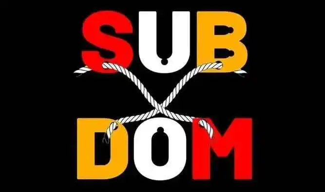 西檬之家brat属性是什么? 一