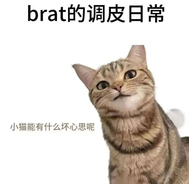 西檬之家圣水是什么意思?字母圈新人入圈 一