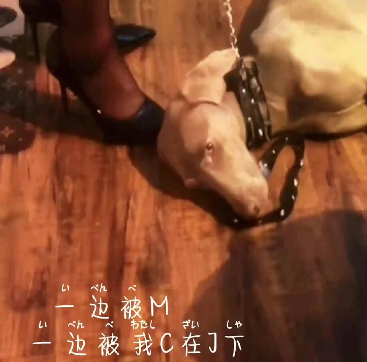 西檬之家字母圈Sub是什么意思? 一