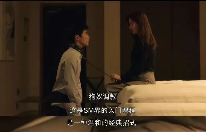 西檬之家K8猫系是什么?你的字母圈属性是什么? 一