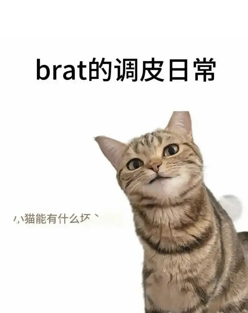 西檬之家K8是什么?字母圈猫系角色解析 一