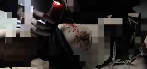 西檬之家ds关系是什么?读懂支配与臣服 一