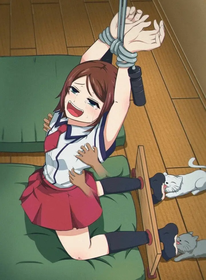 西檬之家你是s属性吗?字母圈里的支配者属性解析 一
