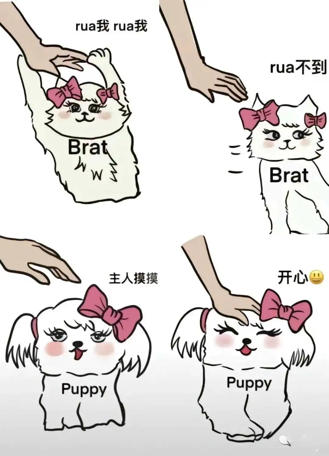 西檬之家ddlg是什么?你的字母圈属性是什么? 一