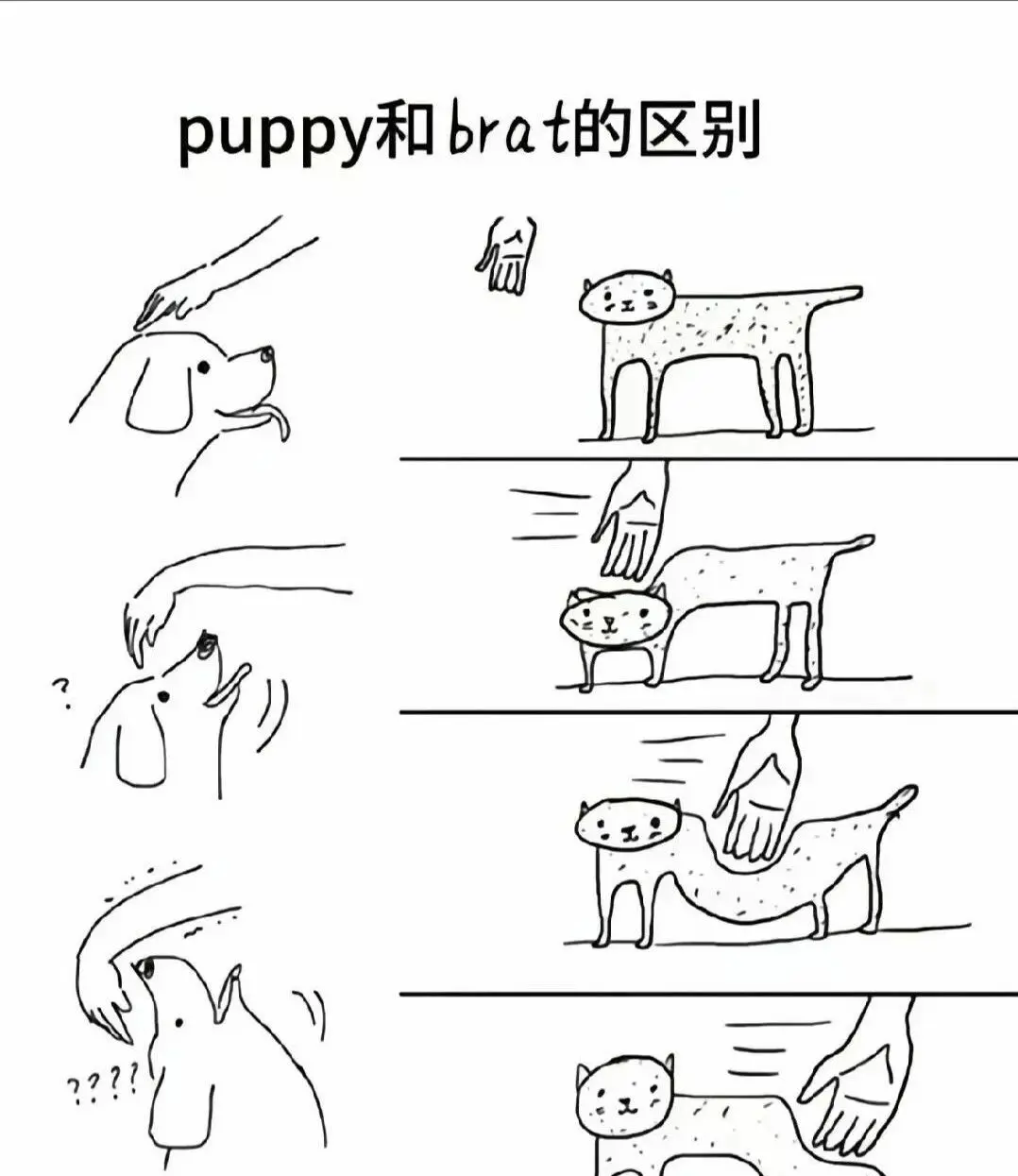 西檬之家字母圈S倾向是什么?新人必知BDSM基础 一