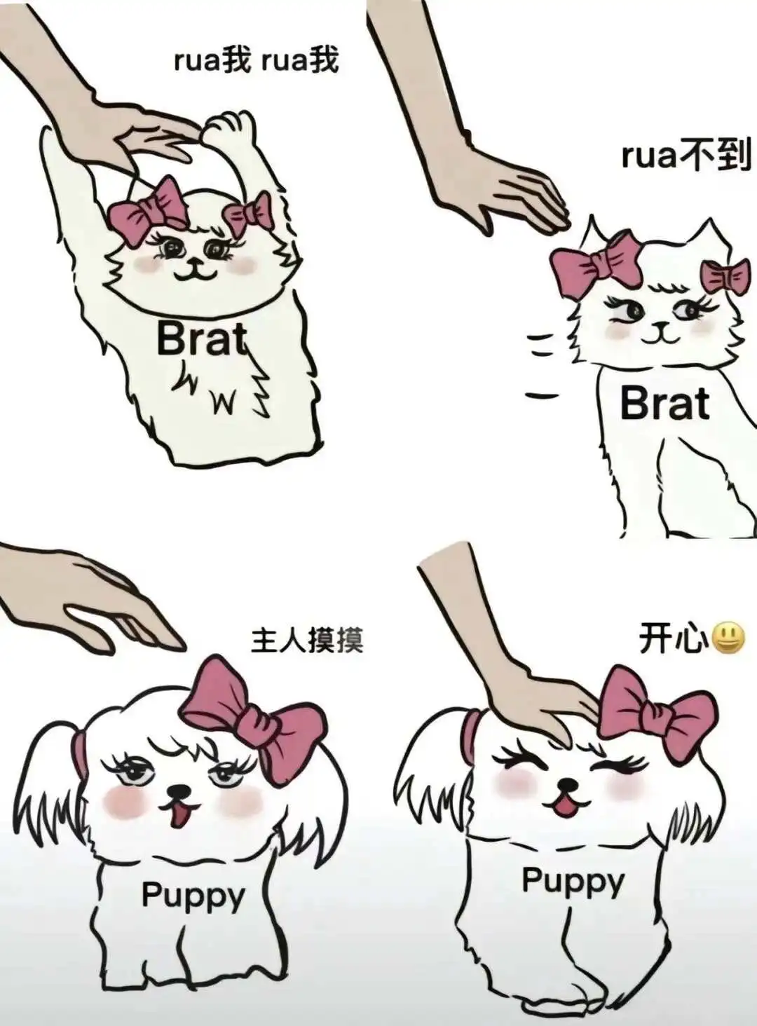 西檬之家字母圈Sub是什么? 一